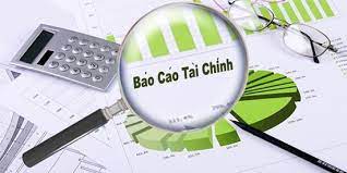 Báo cáo tài chính 06 tháng đầu năm 2022